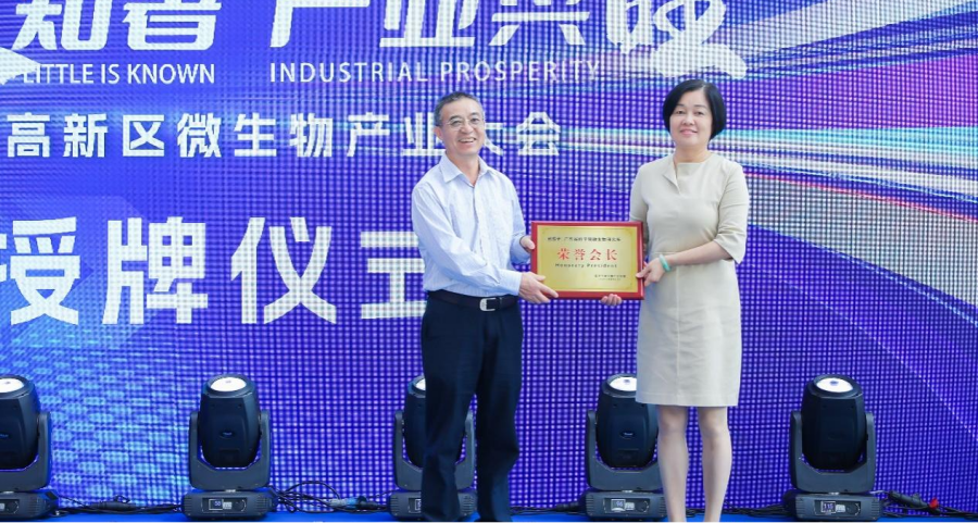 图片6_副本.png